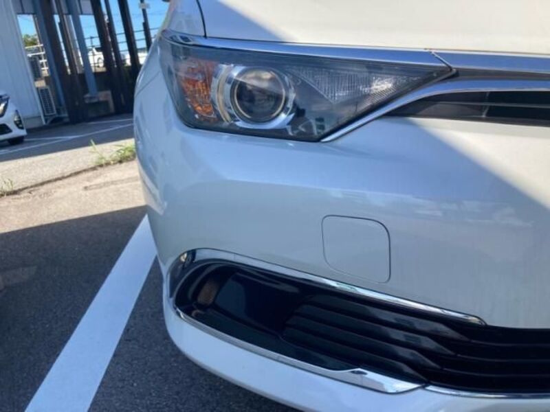 AURIS