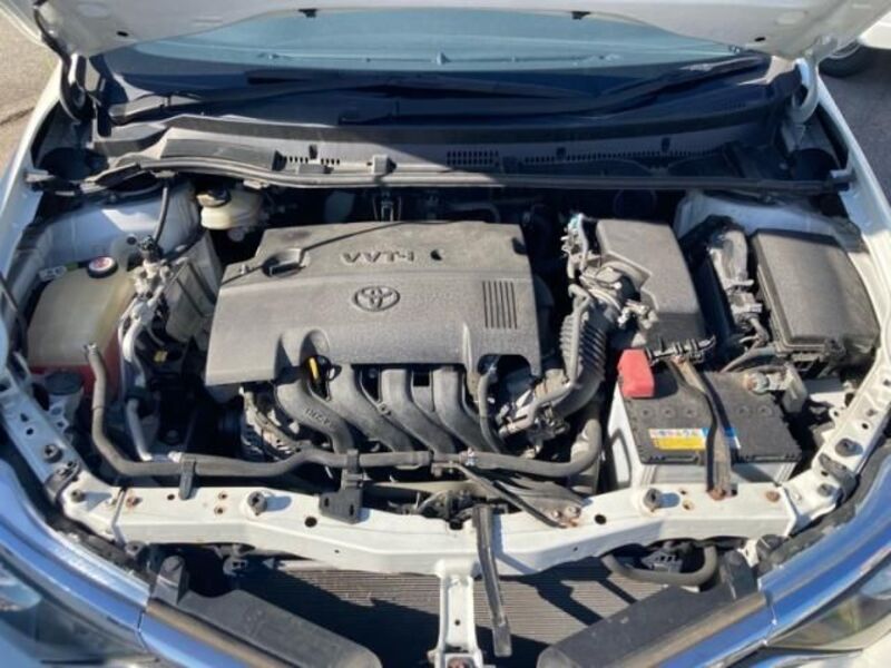 AURIS