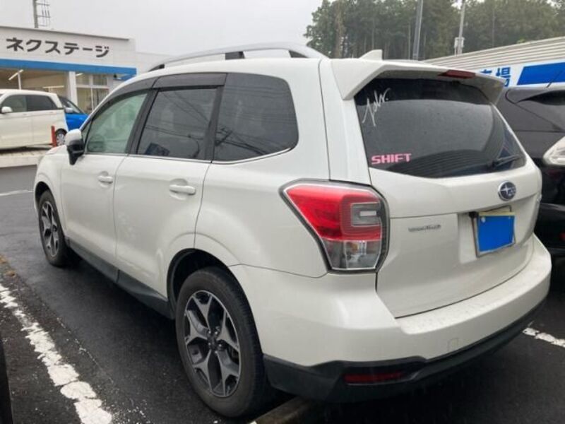 FORESTER