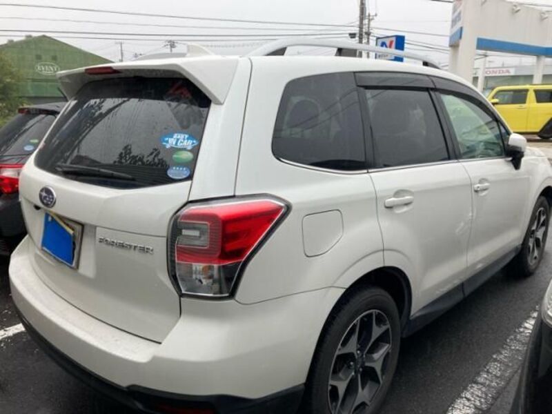 FORESTER