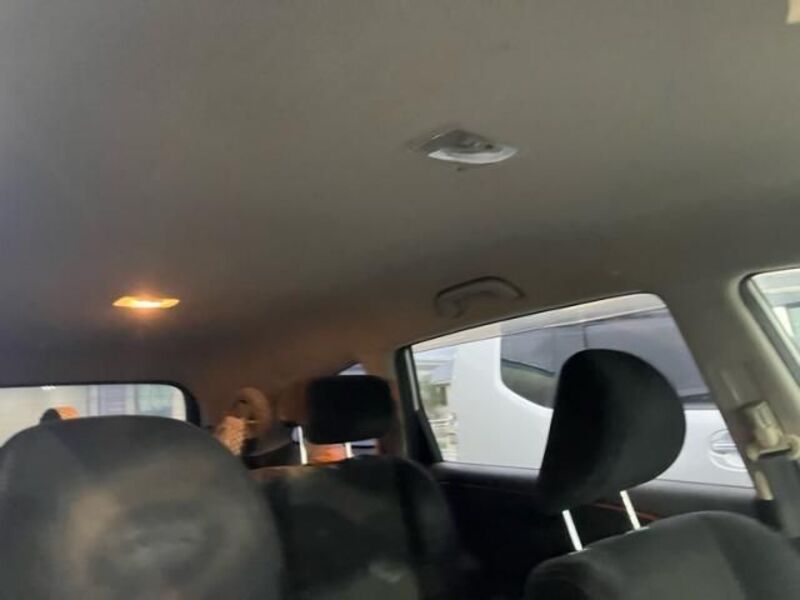 STREAM