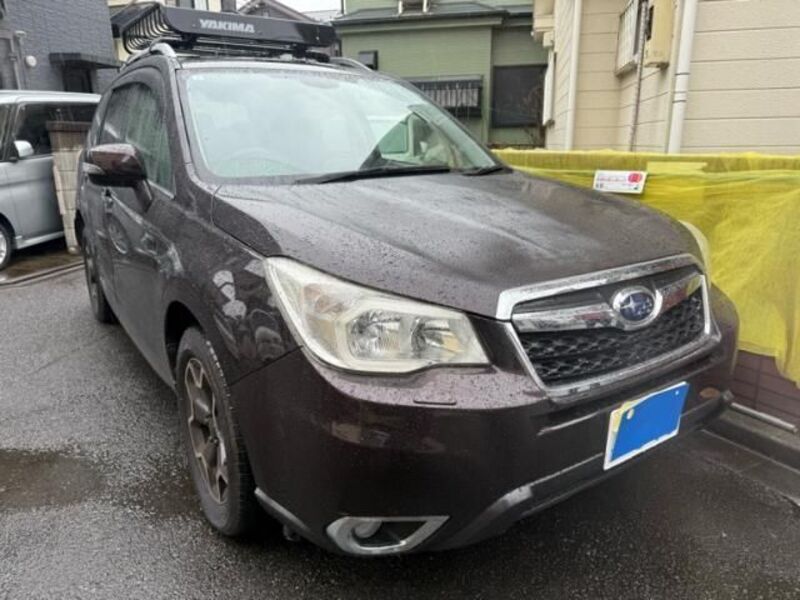 FORESTER