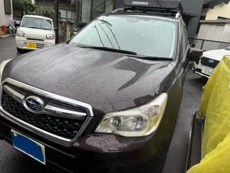 FORESTER