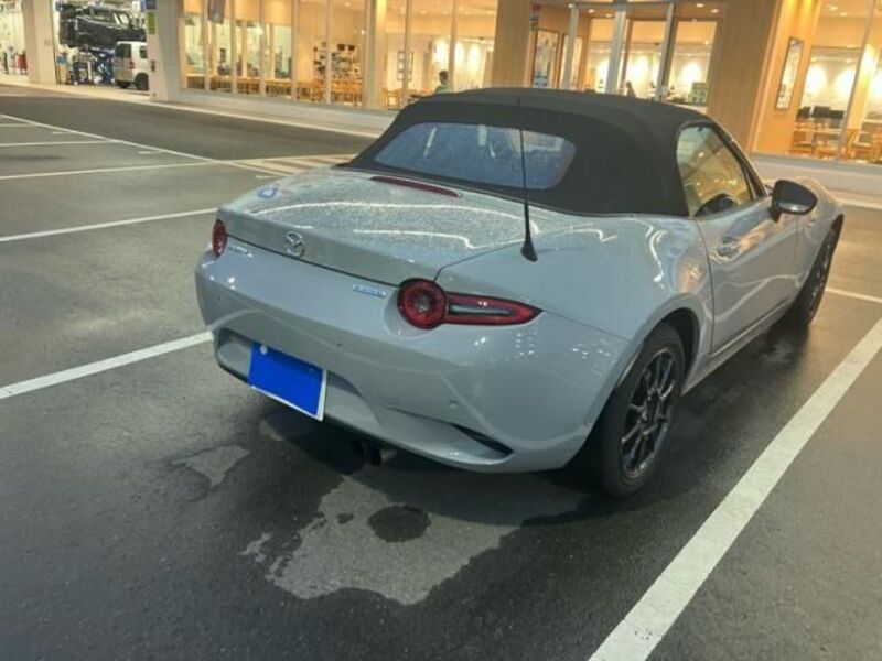 ROADSTER