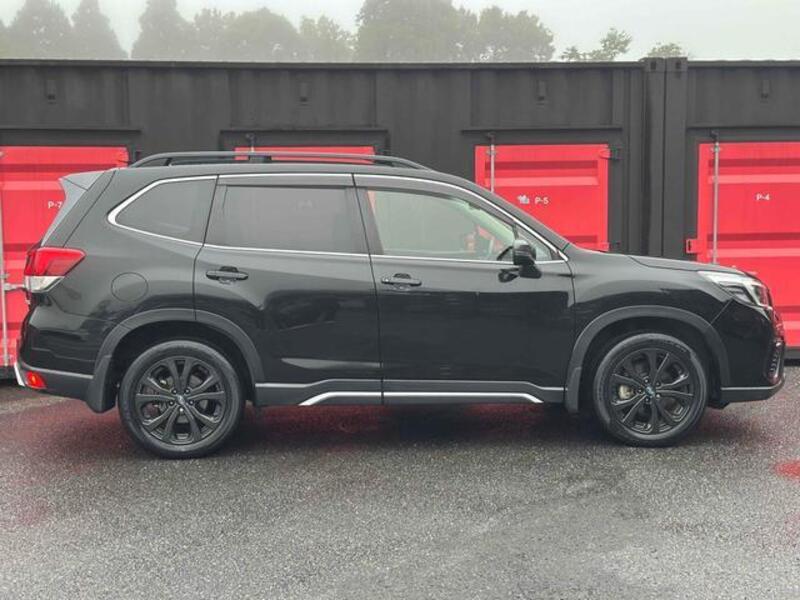 FORESTER