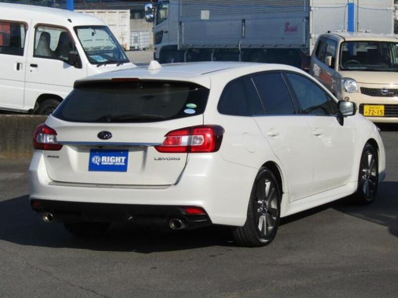 LEVORG
