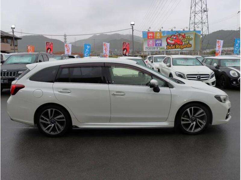 LEVORG