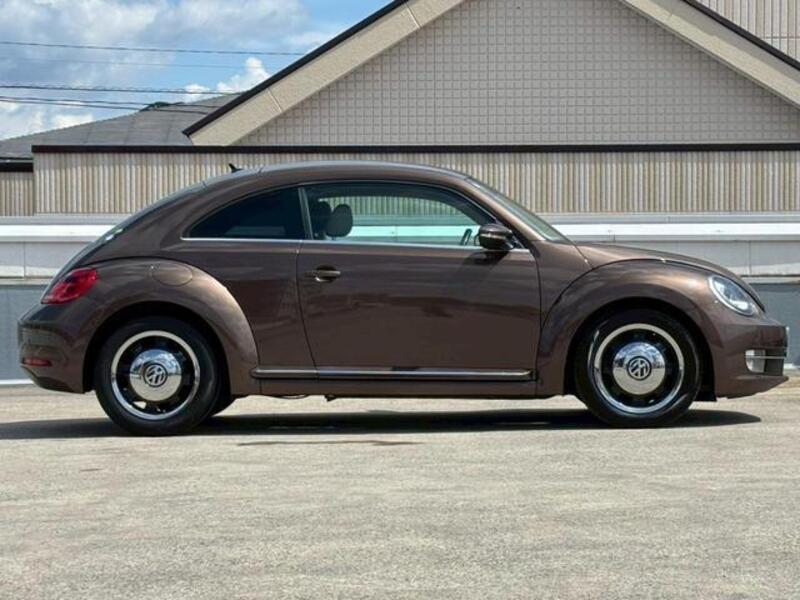 THE BEETLE