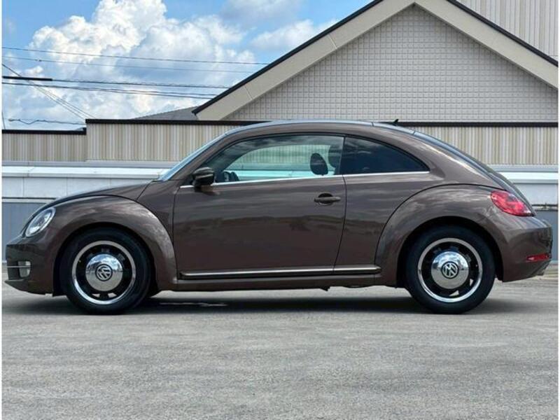THE BEETLE