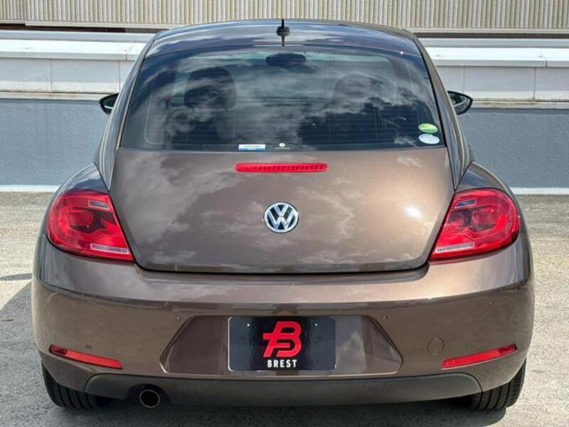 THE BEETLE
