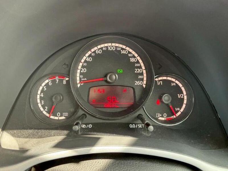THE BEETLE