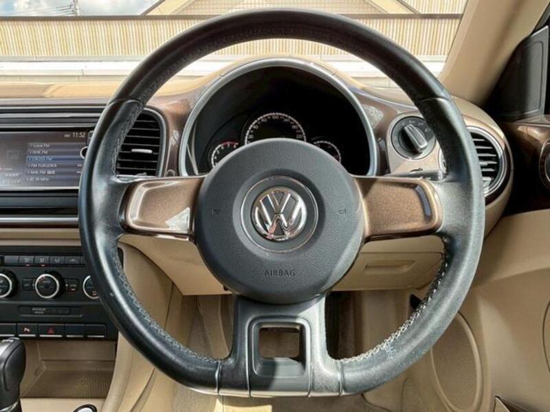 THE BEETLE