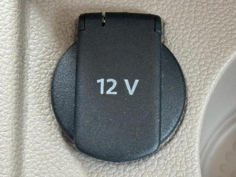 THE BEETLE