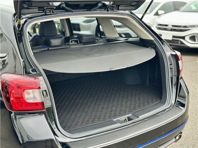 LEVORG