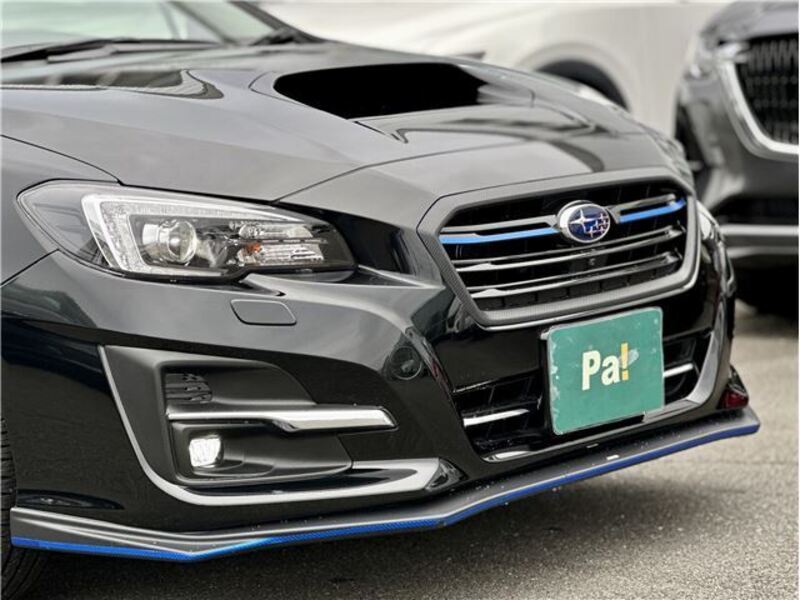 LEVORG