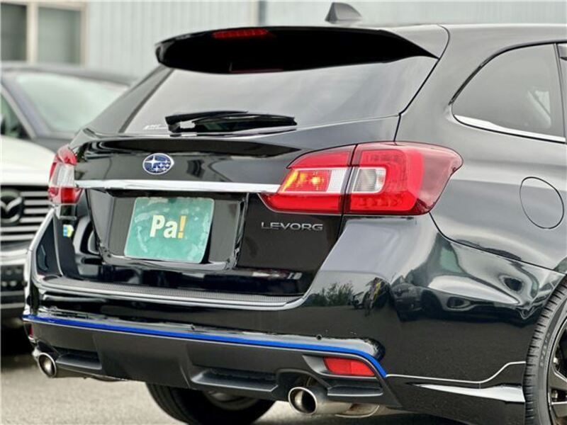 LEVORG