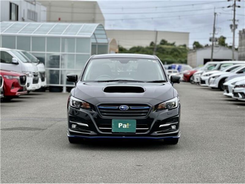 LEVORG