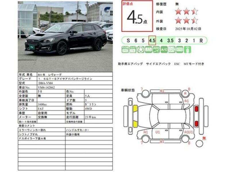 LEVORG