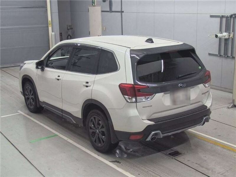 FORESTER