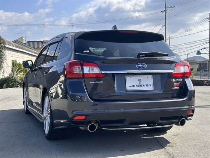 LEVORG