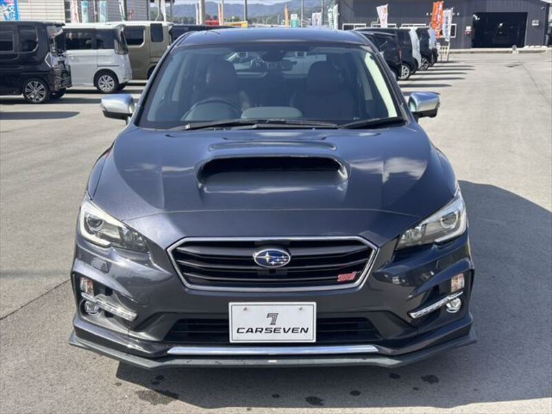 LEVORG