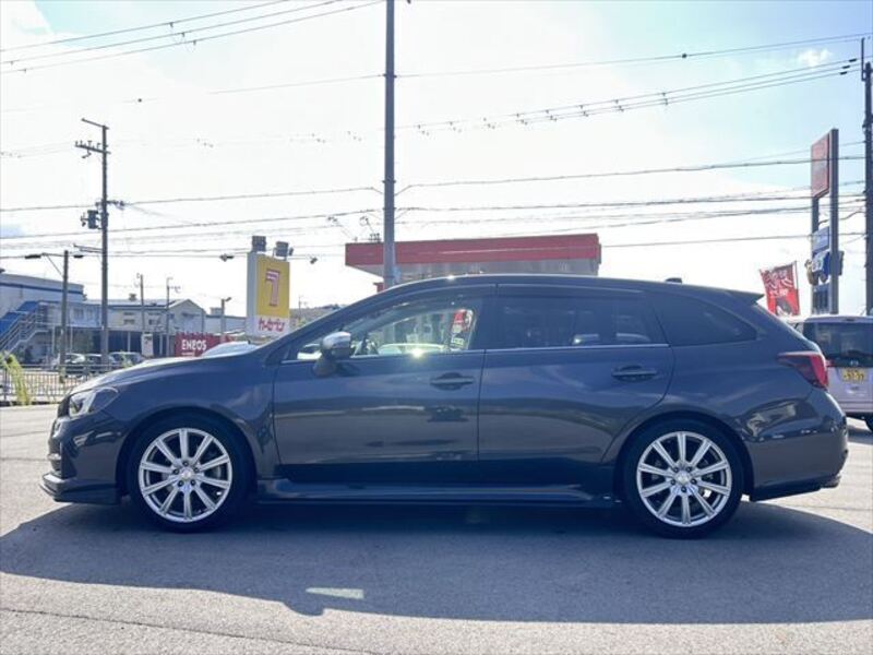 LEVORG
