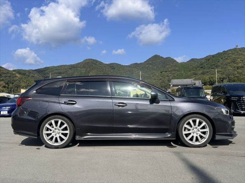 LEVORG