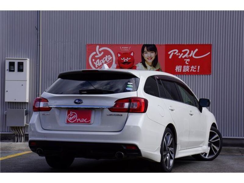 LEVORG