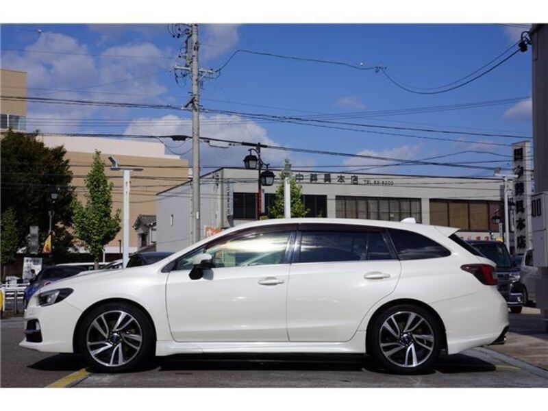 LEVORG