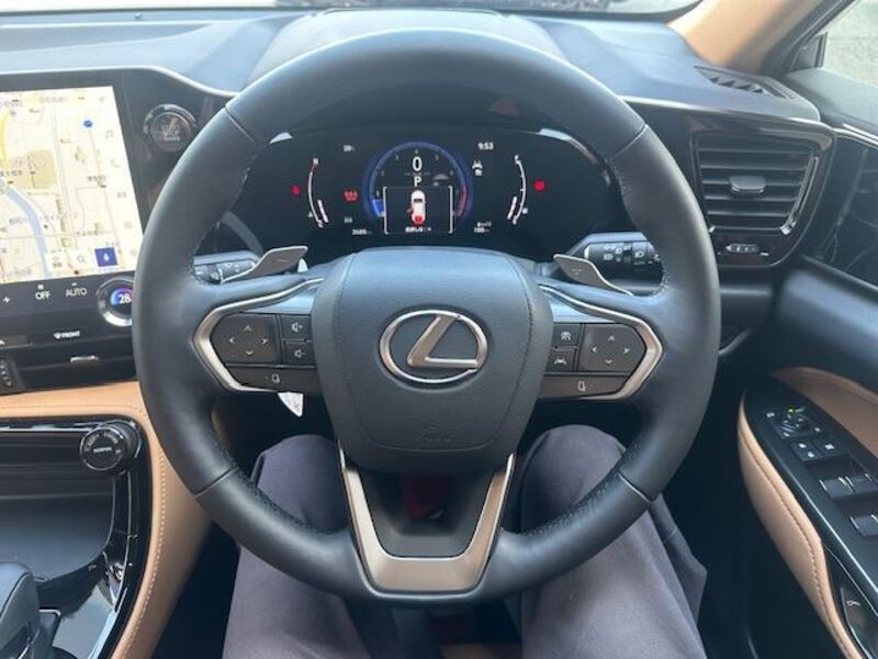 NX