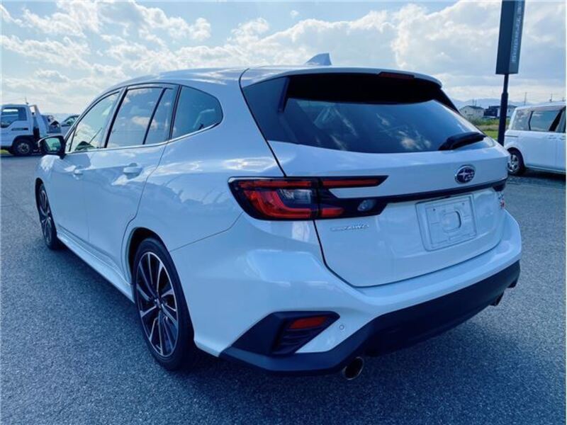 LEVORG