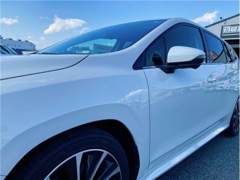 LEVORG