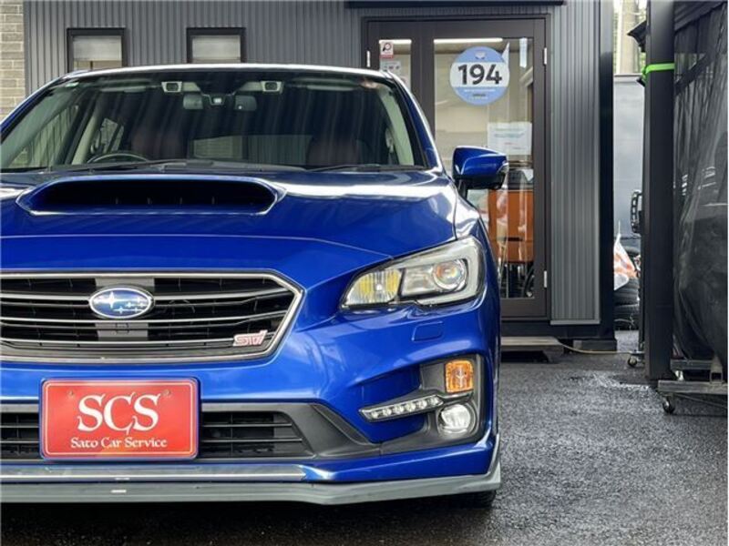LEVORG