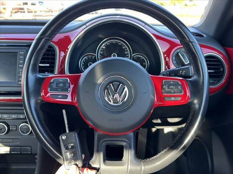 THE BEETLE