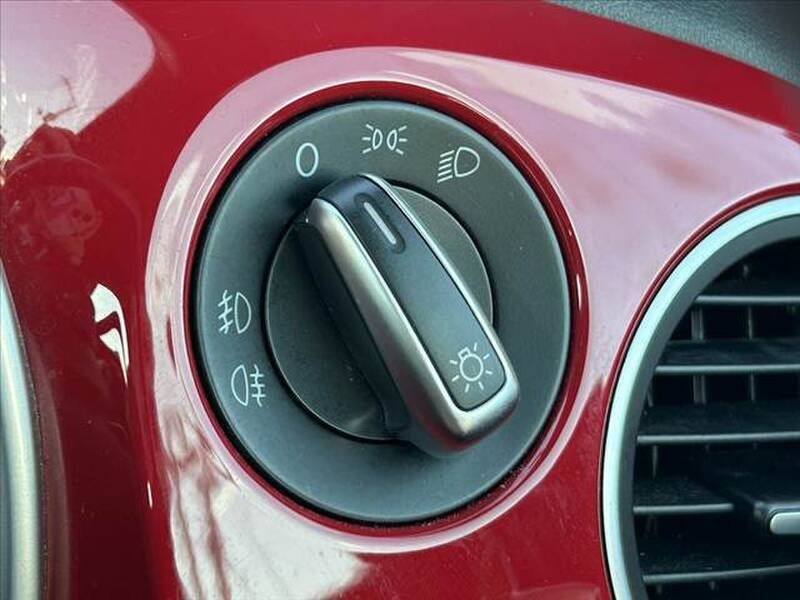 THE BEETLE