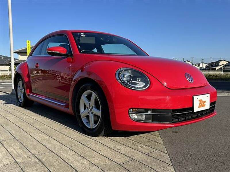 THE BEETLE