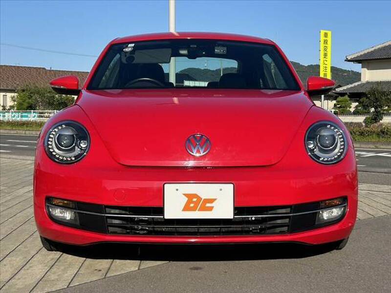 THE BEETLE