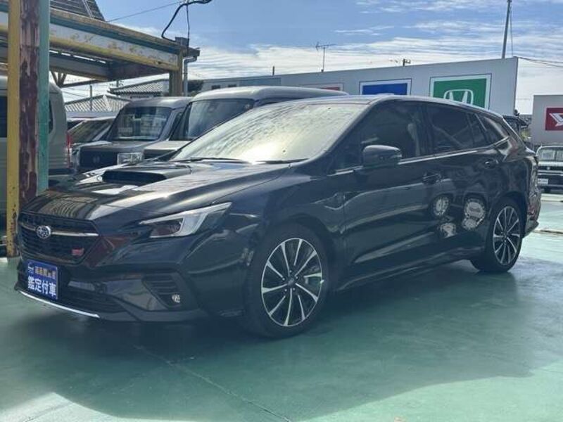 LEVORG