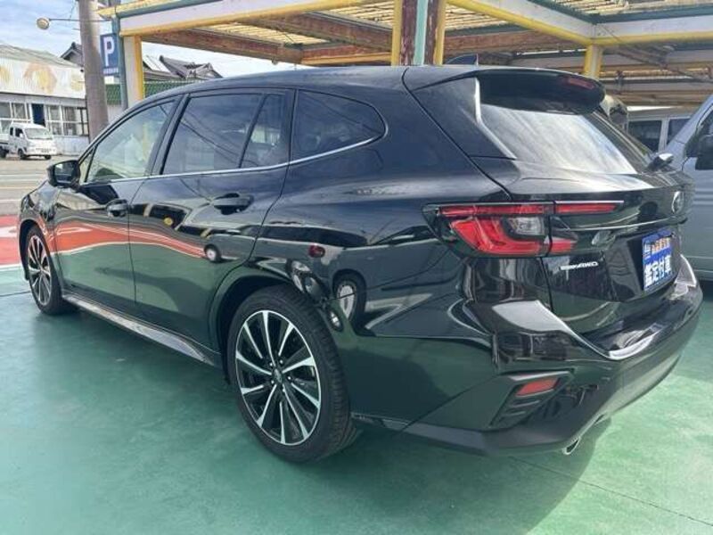 LEVORG