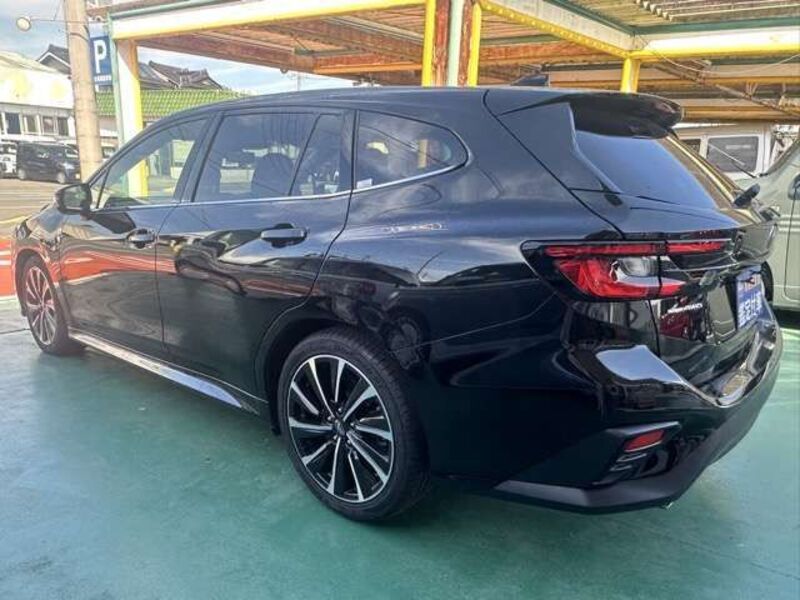 LEVORG