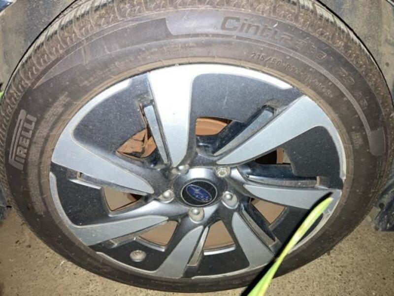 LEVORG