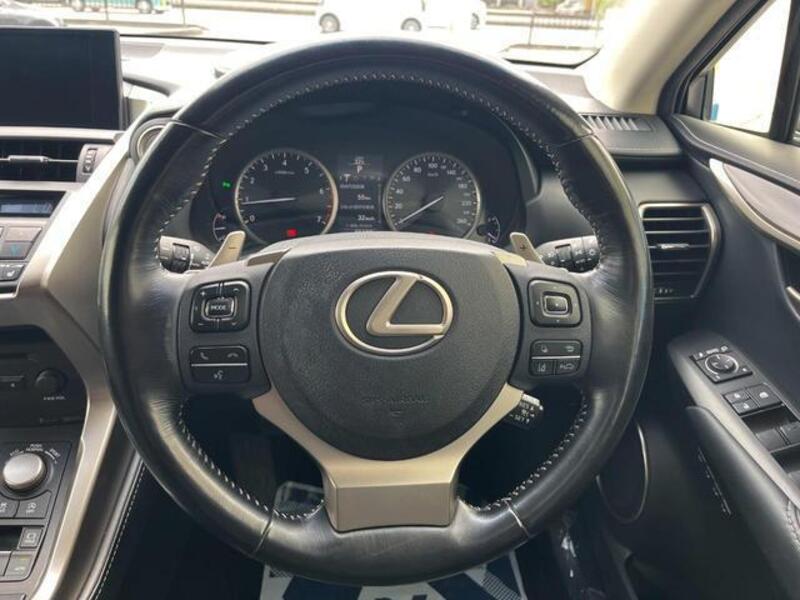 NX