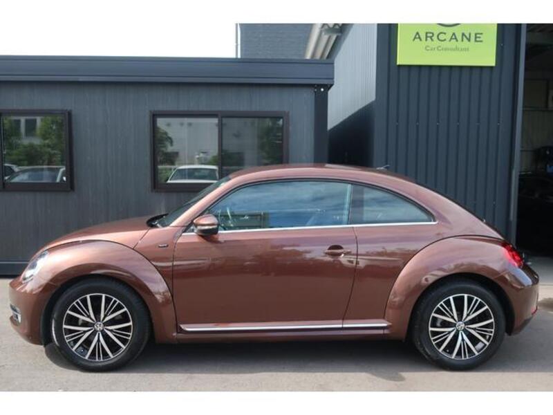THE BEETLE