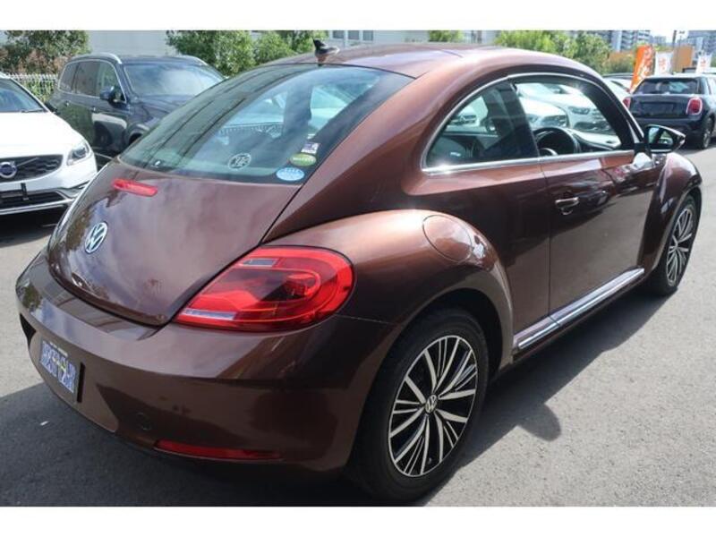 THE BEETLE