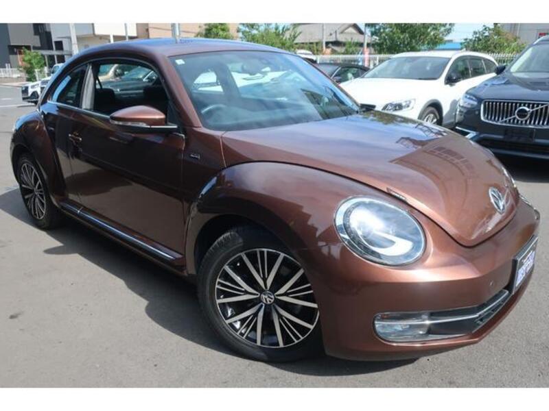 THE BEETLE