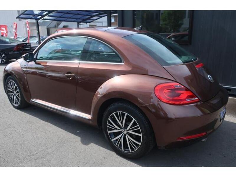 THE BEETLE