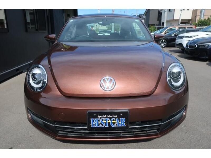 THE BEETLE