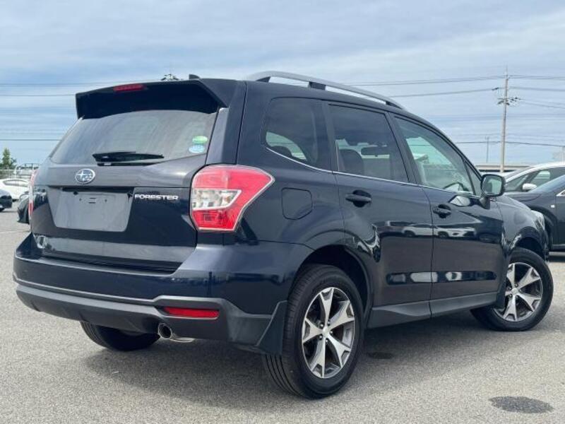 FORESTER