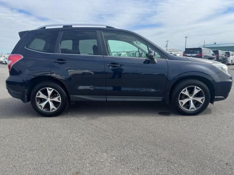 FORESTER