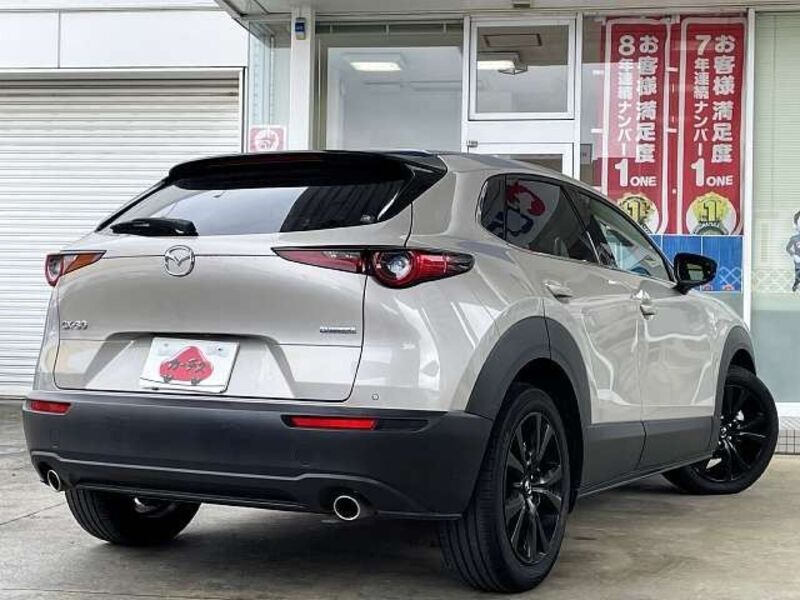 CX-30